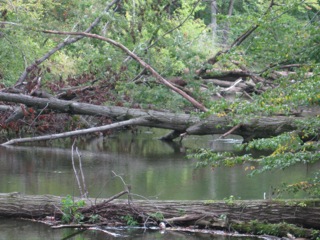 river blockage