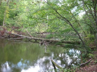 river blockage