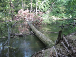 river blockage