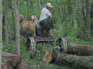 river work