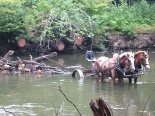 river work