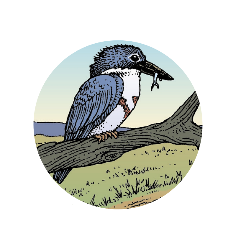 Shenango River Watchers King Fisher Logo